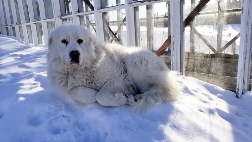 67A0DCA8-9C09-4997-A5E0-1C6F9729D667